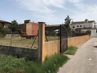 VELL DE SANT MIQUEL DE FLUVIA 9