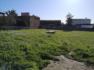 VELL DE SANT MIQUEL DE FLUVIA 10
