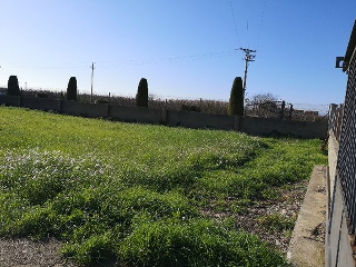 VELL DE SANT MIQUEL DE FLUVIA 11