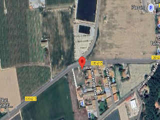 VELL DE SANT MIQUEL DE FLUVIA 14