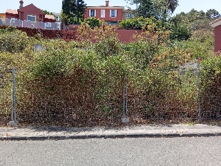 LOMO LOS TOSCANES 10