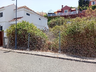 LOMO LOS TOSCANES 12