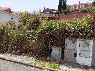 LOMO LOS TOSCANES 14