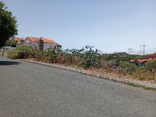 LOMO LOS TOSCANES 15