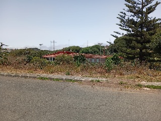 LOMO LOS TOSCANES 16