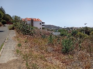 LOMO LOS TOSCANES 17