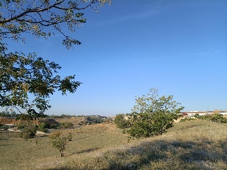 BERNAL DIAZ DEL CASTILLO 4