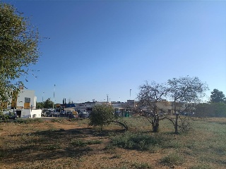 BERNAL DIAZ DEL CASTILLO 5