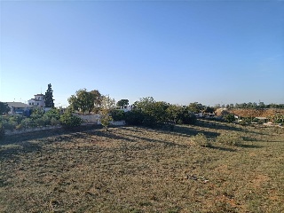 BERNAL DIAZ DEL CASTILLO 7