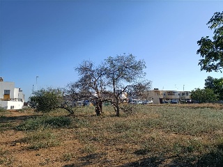 BERNAL DIAZ DEL CASTILLO 8