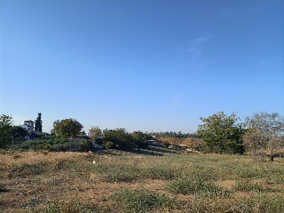 BERNAL DIAZ DEL CASTILLO 9