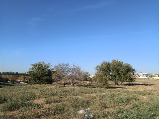 BERNAL DIAZ DEL CASTILLO 12