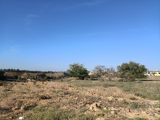 BERNAL DIAZ DEL CASTILLO 13