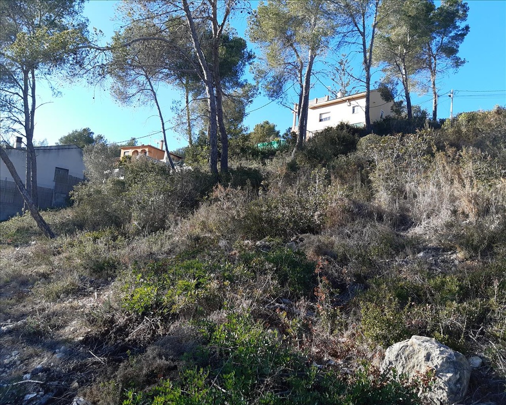DEL COSMOS. PARCELA