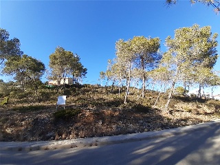 DEL COSMOS. PARCELA 8