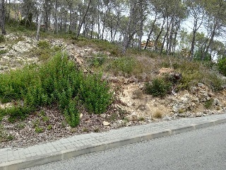 DEL COSMOS. PARCELA 12