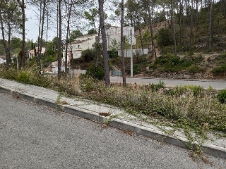 DEL COSMOS. PARCELA 13