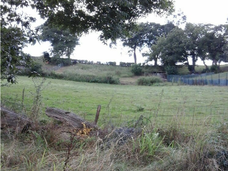 CIUDAD JARDIN-COLLOTO, Polígono 17 Parcela 2