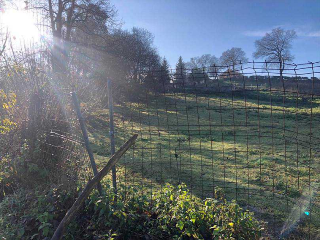 CIUDAD JARDIN-COLLOTO, Polígono 17 Parcela 3