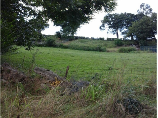 CIUDAD JARDIN-COLLOTO, Polígono 17 Parcela 4