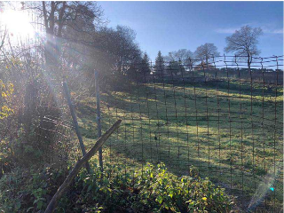 CIUDAD JARDIN-COLLOTO, Polígono 17 Parcela 6