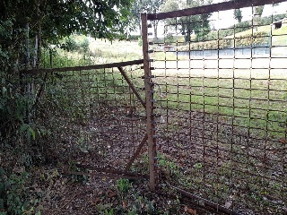 CIUDAD JARDIN-COLLOTO, Polígono 17 Parcela 8