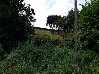 CIUDAD JARDIN-COLLOTO, Polígono 17 Parcela 10