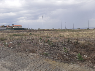 CAMPO DE GOLF CIRUEÑA 2