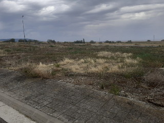 CAMPO DE GOLF CIRUEÑA 4