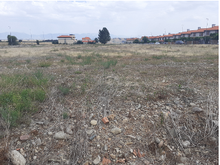 CAMPO DE GOLF CIRUEÑA 11