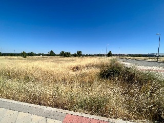 Calle Jesús Grande Aparicio 5