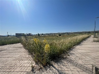 Calle Jesús Grande Aparicio 8