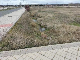 Calle Jesús Grande Aparicio 19