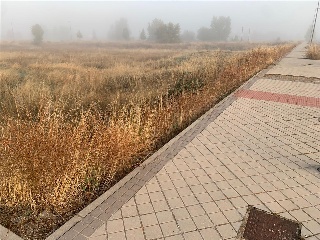 Calle Jesús Grande Aparicio 21