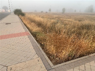 Calle Jesús Grande Aparicio 22