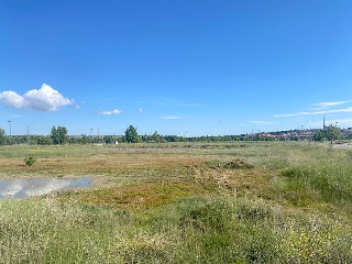 Calle Jesús Grande Aparicio 24
