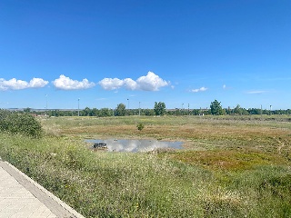 Calle Jesús Grande Aparicio 28