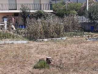 MOSSEN PERE RIBOT 10