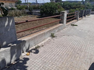 MOSSEN PERE RIBOT 11