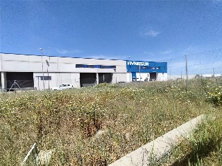 CL LOS PALILLOS DIECISEIS 6