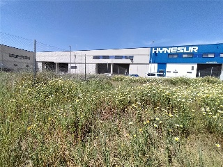 CL LOS PALILLOS DIECISEIS 12