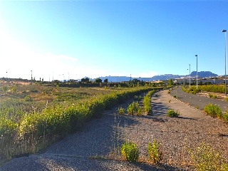 LAS CAÑAS (MANZANA 20) 6