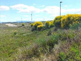 LAS CAÑAS (MANZANA 20) 8