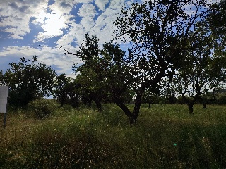 PTDA MAR DE SINTO POLR 22 93 S/N 3