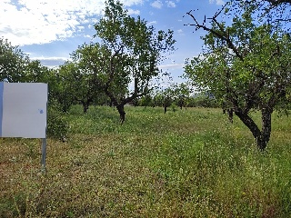 PTDA MAR DE SINTO POLR 22 93 S/N 4