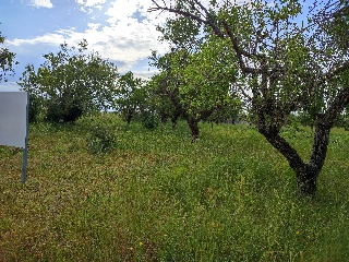 PTDA MAR DE SINTO POLR 22 93 S/N 5