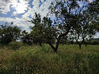 PTDA MAR DE SINTO POLR 22 93 S/N 6