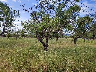 PTDA MAR DE SINTO POLR 22 93 S/N 7