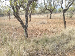 PTDA MAR DE SINTO POLR 22 93 S/N 8