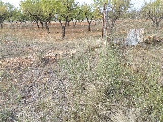 PTDA MAR DE SINTO POLR 22 93 S/N 9